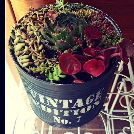 Apartamento De Tino *