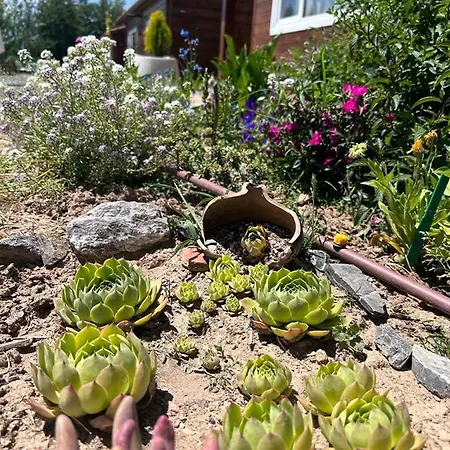 Apartman De Tino Cimanes del Tejar