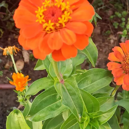 Apartamento De Tino *