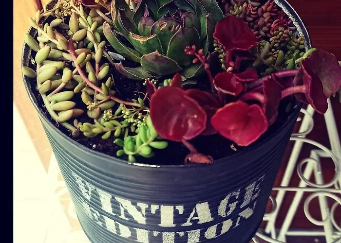 Apartamento De Tino *