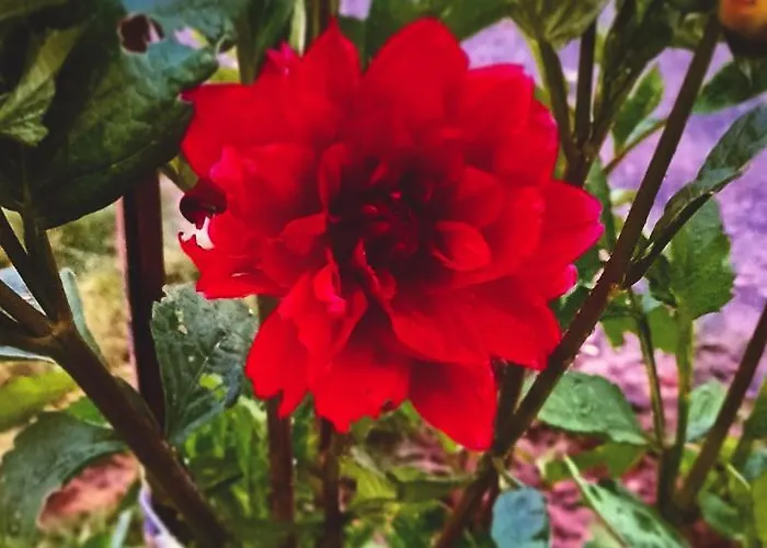 Apartamento De Tino Cimanes del Tejar