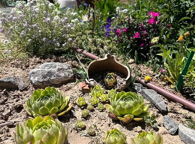 Apartamento De Tino Cimanes del Tejar