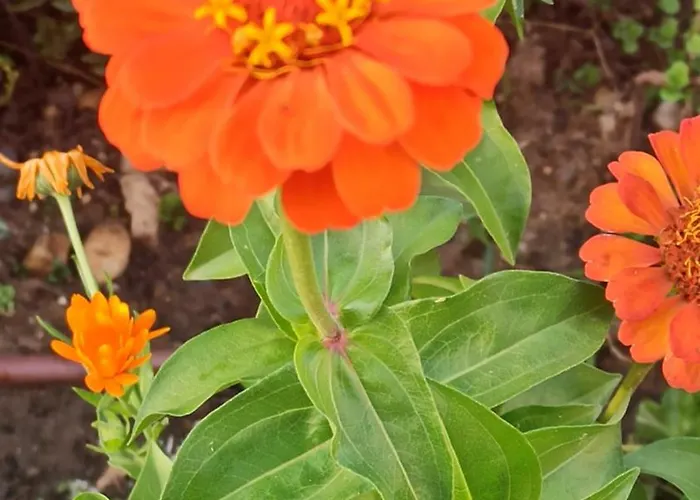 Apartamento De Tino *